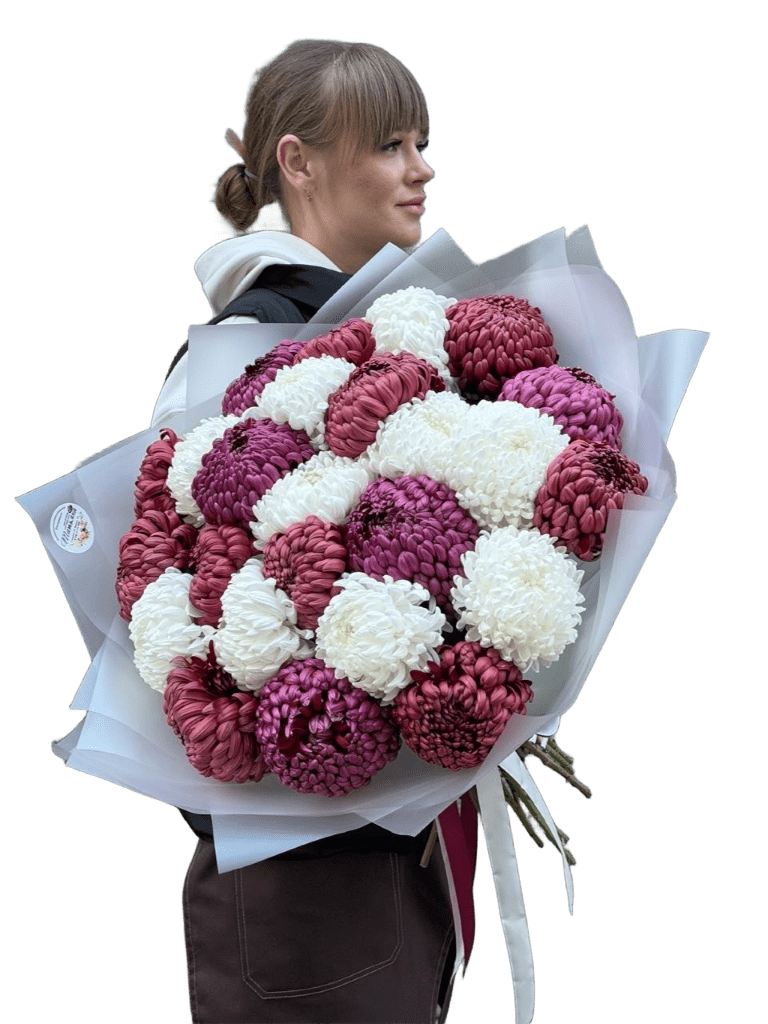 photo_2026-10-02_12-43-11 25 хризантем одноголовых микс — изображение 1